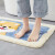 Good product in Peninsula, thick bathroom, non slip mat, doormat, doormat, foot pad, domestic absorbent mat, bathroom, doormat, firewood dog, 50 * 80cm