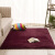 Rectangular living room tea table, carpet, beige plush, bedroom bedside, carpet in front of bed, covered with household Purple Plush 80 * 200cm