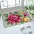 Door leaf mat, door mat, entrance living room, hall, bathroom, non slip toilet, kitchen can cut the entrance water absorption foot pad, style 3, 38 * 58cm, two pieces