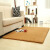 Monthly kiss silk hair carpet living room bedroom tea table sofa porch carpet can be customized washable Khaki 200 * 300cm