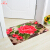 Rong Hui's doormat, doormat, entrance hall, foot padbedroom, toilet door, water absorption, non slip floor mat, rich peony, 43 * 68cm