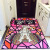 Yongyang carpet entrance doormat bedroom living room carptenon slip red Fortune Cat happy water absorption, dry and dirty mat kitchen entrance mat access safety horizontal plate 50 * 80cm