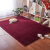 Thick solid color small carpet bedroombedside full house simple modern tea table living room blanket floor can be customized B wine red customized [long pile]