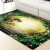 3D living room tea table children bedroom bedside floor mat doormat entrance hall non slip bathroom rectangle foot pad dolphin 60 * 90cm