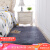 Burata carpet living room sofa tea table mat thick Plush simple modern bedroom carpet bedside blanket grey 70 * 160cm