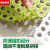 Bathroom non slip mat floor mat bathroom shower room foot pad bathroom toilet full spread non slip mat bean green 30 * 30cm (single piece price)