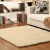 Kiss of the moon cashmerecarpetthick living room carpet simple fashion solid camel 200 * 300cm