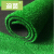 Yuzhi plastic artificial lawn carpet artificial turf green lawn decoration engineering kindergarten false lawn roof balcony green corridor non slipcarpet fence field 2.0cm (sound insulation non slip)