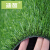 Diyin carpet plastic artificial turf artificial simulation lawn kindergarten artificial engineering false lawn indoor window window window balcony carpet roof sunshade army green 10mm