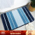 Thick floor mat doormat household bathroom toilet door water absorption non slipfoot pad porch mat bedroom entrance living room sofa bathroom non slip pad foot mat sky blue 50 * 80 [main drawing size]