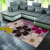 Li Jia pet pet new rose simple living room room bedroom tea table sofa dining room study non slip high density carpet flowers 011506 200 * 280cm