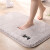 Xialang thick wool mat into doormat foot pad household bathroom bathroom toilet water absorption bedroom bedside non slip mat chestnut brown 40x60cm