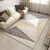 Non slip printed carpet mat YH-01 160 * 230cm