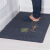 Avril floor mat doorstep foot pad home bathroom bathroom non slip mat kitchen stair mat fortune tree 60 * 90cm